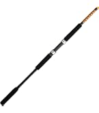 Amazon | ペンスピンフィッシャーVI 5500 | Penn | スピニングリール